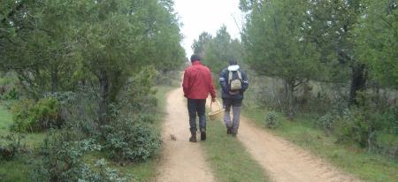 Imagen Montes de utilidad pública de 37 municipios y de cuatro comunidades de villa y tierra estarán incluidos esta temporada en el proyecto Myas