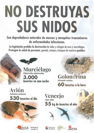 Imagen El programa ‘Enreda en verde’ de la Diputación distribuye en los consistorios de la provincia posters informativos sobre el respeto a los nidos de varias especies
